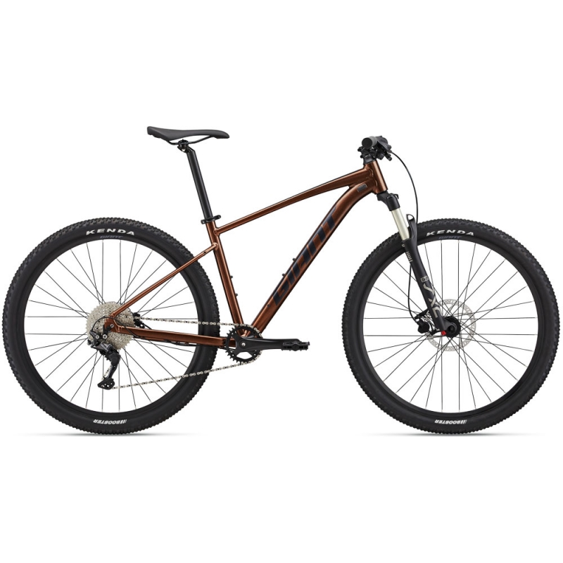 دوچرخه کوهستان جاینت مدل (2022) Talon 29 1